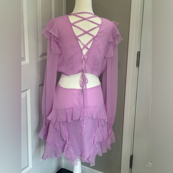 Angelance New York Silk Chiffon Dress - Picture 11 of 14